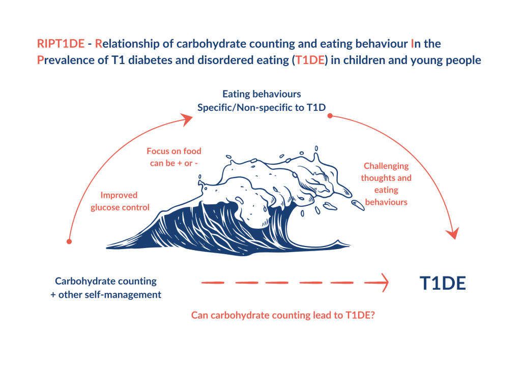 Model demonstrating the relationship of carbohydrate counting and eating behaviour in the prevalence of T1 diabetes and disordered eating (T1DE) in children and young people